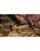 Away : The Survival Series Xbox OneXS активация