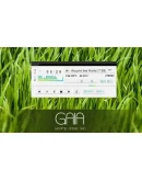 Десять скинов для Winamp'a + БОНУС