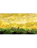 Braid XBOX Покупка на Ваш аккаунт