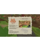 Smushi Come Home АВТОДОСТАВКА STEAM GIFT РОССИЯ