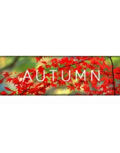 AutumnSteamРФ+Весь МирKey+ Карточки