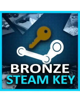 НЕ ПОПОЛНЯТЬ / БРОНЗОВЫЙ STEAM КЛЮЧ НЕ ПОПОЛНЯТЬ / БРОНЗОВЫЙ STEAM КЛЮЧ