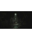 LAYERS OF FEAR 2023 XBOX SERIES XSКЛЮЧ ЛИЦЕНЗИЯ