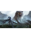 Black Desert АВТОДОСТАВКА STEAM РОССИЯ