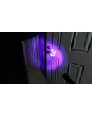 MetaPhysical (Steam key / Region Free)