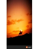 Red Dead Redemption 2 (Xbox One, XS)