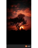 Red Dead Redemption 2: Ultimate Edition XBOX ONE ключ