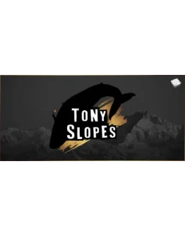 Tony Slopes STEAM KEY REGION FREE GLOBAL ROW + GIFT