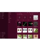 Files&Folders Pro Microsoft Store Windows ПК Активация Files&Folders Pro Microsoft Store Windows ПК Активация