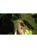 BARN FINDERS и TREASURE HUNTER SIMULATOR XBOXКЛЮЧ