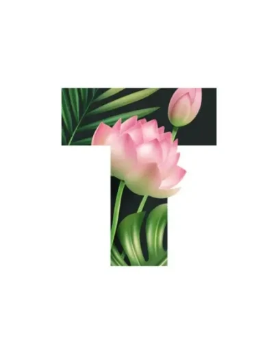 Text Текст на фото шрифты арт PRO iPhone ios AppStore