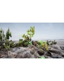 Liminal Lands STEAM KEY REGION FREE GLOBAL ROW +GIFT