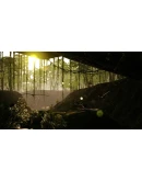 Beasts of BermudaАВТОДОСТАВКА Steam Россия