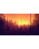 FirewatchАВТОДОСТАВКА Steam Россия