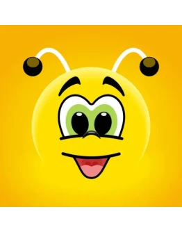 FunEasyLearn Premium 1/3/6/12 мес. на Ваш аккаунт