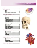 Билич, Лукашанец, Мазур: Анатомия человека.