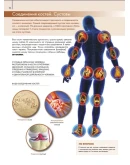 Билич, Лукашанец, Мазур: Анатомия человека.