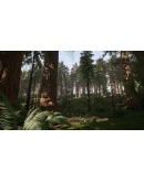 Redwood forest for game ready Redwood forest for game ready