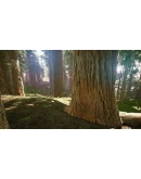 Redwood forest for game ready Redwood forest for game ready
