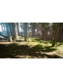 Redwood forest for game ready Redwood forest for game ready