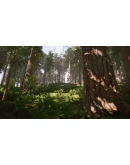 Redwood forest for game ready Redwood forest for game ready