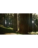 Redwood forest for game ready Redwood forest for game ready