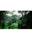 Tropical forest pack for game ready Tropical forest pack for game ready