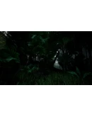 Tropical forest pack for game ready Tropical forest pack for game ready