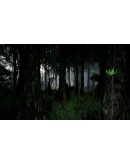 Tropical forest pack for game ready Tropical forest pack for game ready
