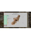 Nature Hunter АВТОДОСТАВКА STEAM GIFT РОССИЯ