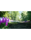 Nature Hunter АВТОДОСТАВКА STEAM GIFT РОССИЯ