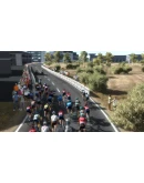 Pro Cycling Manager 2023 АВТОДОСТАВКА STEAM РОССИЯ