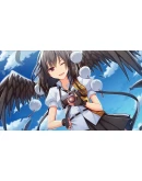 Inorikaze АВТОДОСТАВКА STEAM GIFT РОССИЯ