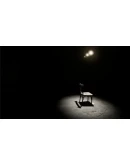 Birds Aren't Real STEAM KEY REGION FREE GLOBAL ROW