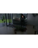 The Interview АВТОДОСТАВКА STEAM GIFT РОССИЯ