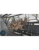 Deadliest Catch: The Game Xbox OneXS активация