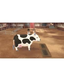 STORY OF SEASONS: A Wonderful Life Xbox активация