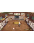 STORY OF SEASONS: A Wonderful Life Xbox активация