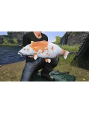 Euro Fishing: Ultimate Edition Xbox OneXS активация