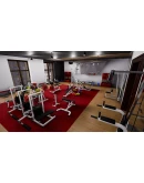 Hotel Renovator - Gym DLCАВТОДОСТАВКА Steam Россия
