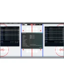 Franchise Hockey Manager 9 STEAM GIFT РОССИЯ