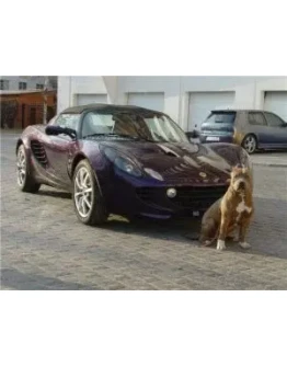 Как предотвратить угон вашего авто. Реальные советы.