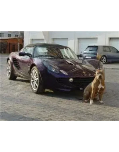 Как предотвратить угон вашего авто. Реальные советы.