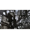 Call of Duty 4: Modern Warfare(2007)(Steam Region Free)