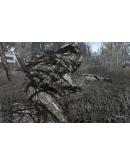 Call of Duty 4: Modern Warfare(2007)(Steam Region Free)