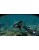 Shark Attack Deathmatch 2 (Steam)(RU/ CIS)