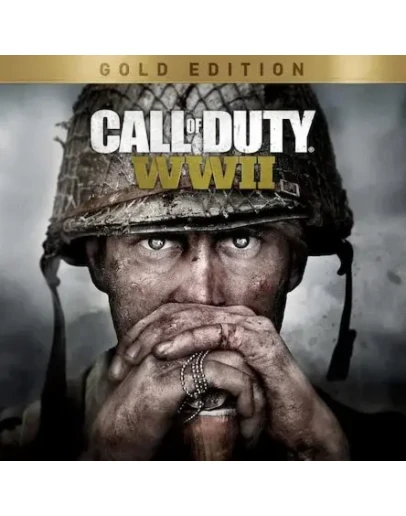 Call Of Duty: WW2 / COD: WW2PS4/PS5 Турция