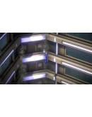 Conquer Humanity АВТОДОСТАВКА STEAM GIFT РОССИЯ