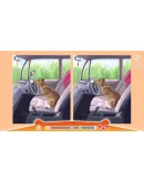 Cute Capybaras АВТОДОСТАВКА STEAM GIFT РОССИЯ