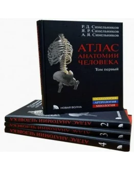 Синельников: Атлас анатомии человека. В 4-х томах
